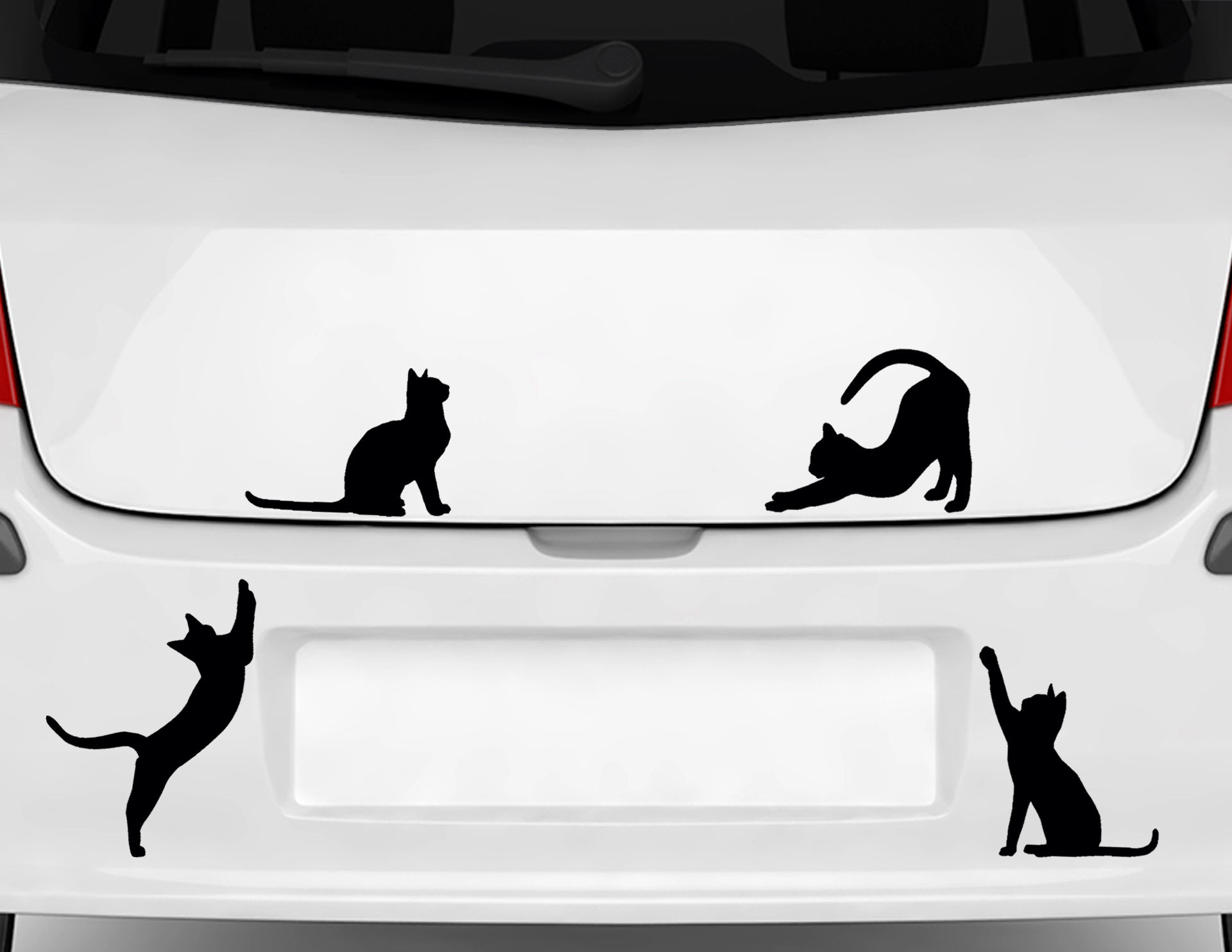 Katze Kätzchen Autoaufkleber Auto Aufkleber Sticker