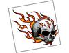 Lieferansicht Burning Skull