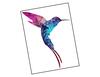 Lieferansicht Humming Bird Tropica