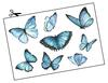 Lieferansicht Blaue Morpho-Schmetterlinge